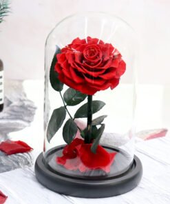 Preserved Rose