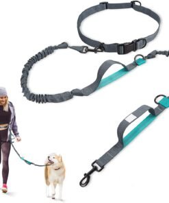 Hands-Free Dog Leash